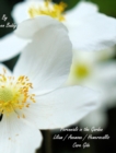 Perennials in the Garden - Lilium / Anemone / Hemerocallis Care Gide - Book