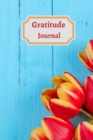 Gratitude Iournal for teens and adults - Book