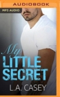 MY LITTLE SECRET - Book