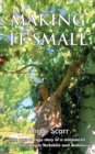 Making It Small : The rags to rags story of a miniaturist and self builder in Yorkshire and Andaluc?a - Book