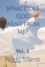 What Does God Want From Me? : Vol. 1 - Book