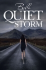 Quiet Storm - eBook