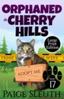Orphaned in Cherry Hills - Book