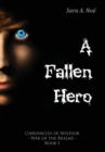 A Fallen Hero - Book