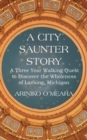 A City Saunter Story : A Three Year Walking Quest to Discover the Wholeness of Lansing, Michigan - Book