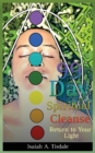 99 Day Spiritual Cleanse : Return to Your Light - Book