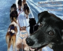 Run Like a Sled Dog : Another Black Bear Sled Dog Adventure - Book