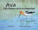 Ava : A Year of Adventure in the Life of an American Avocet - Book