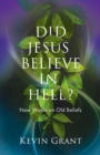 Did Jesus Believe in Hell? : New Words on Old Beliefs - Book