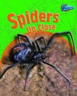 Spiders Up Close - Book