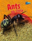 Ants Up Close - Book
