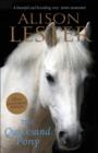 The Quicksand Pony 15th Anniversary Edition - Book