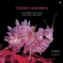 Hidden wonders : The small 5005 of southern Africa - insects, spiders, frogs and reptiles - Book