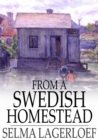 From a Swedish Homestead - eBook
