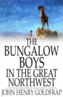 The Bungalow Boys in the Great Northwest - eBook