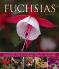 Fuchsias : an Illustrated Guide to Varieties, Cultivation and Care, with Step-by-step Instructions and More Than 130 Beautiful Photographs - Book