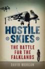 Hostile Skies - eBook