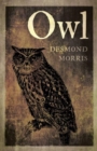 Owl - Book