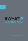 What is Numerology? - eBook