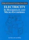 Electricity in Households and Microenterprises - eBook