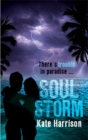 Soul Beach: Soul Storm : Book 3 - Book