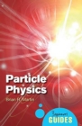 Particle Physics : A Beginner's Guide - eBook