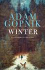 Winter : Five Windows on the Season - eBook