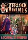 A Scandal in Bohemia - A Sherlock Holmes Graphic Novel - Book