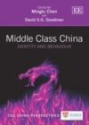 Middle Class China : Identity and Behaviour - eBook