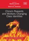China's Peasants and Workers: Changing Class Identities - eBook