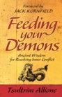 Feeding Your Demons - eBook