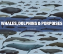 Whales, Dolphins and Porpoises : A Natural History and Species Guide - Book