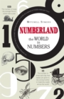 Numberland : The World in Numbers - Book