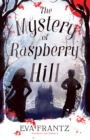 The Mystery of Raspberry Hill - eBook