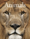 Animals - Book