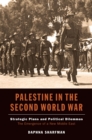 Palestine in the Second World War - eBook