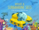 What a Submarine Sees : A fold-out journey under the waves - Book