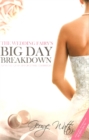 The Wedding Fairy's Big Day Breakdown : Planning for an Unforgettable Celebration - Book