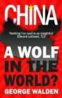 China : A Wolf in the World? - Book