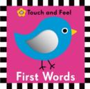 First Words : My First Priddy - Book