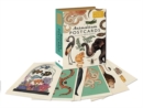 Animalium Postcards - Book