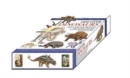 Discover Dinosaurs : Educational Box Set - Book