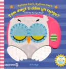 Dylluan Fach, Dylluan Fach - Pam Dwyt Ti Ddim yn Cysgu? / Little Owl Can't You Sleep? - Book