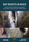 Bat Roosts in Rock : A Guide to Identification and Assessment for Climbers, Cavers & Ecology Professionals - eBook