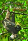Amazing Animals of the Rainforest - Book