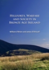 Hillforts, Warfare and Society in Bronze Age Ireland - Book