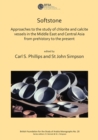 Softstone: Approaches to the study of chlorite and calcite vessels in the Middle East and Central Asia from prehistory to the present - Book
