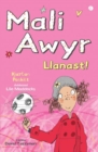 Mali Awyr: Llanast - Book