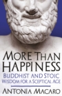 More Than Happiness - eBook