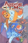 Adventure Time Volume 13 - Book